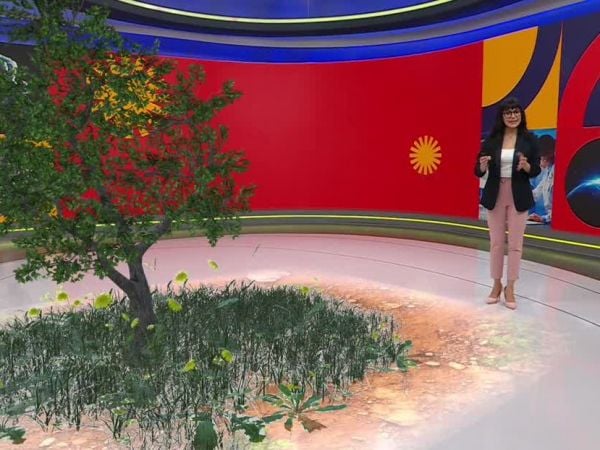 Conciencia 24.7 en 24 Horas: 25 de julio 2025.