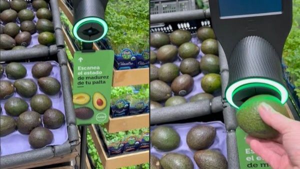 Máquina que revela estado de madurez de palta.