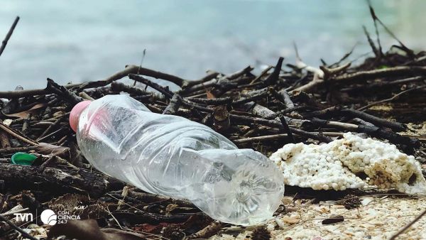 Botellas plásticas acumuladas en la orilla de una playa del Pacífico latinoamericano.