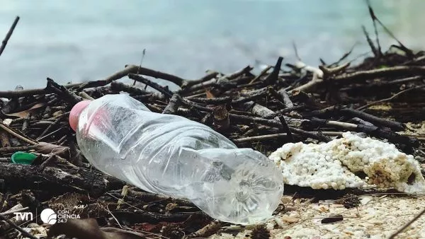 Botellas plásticas acumuladas en la orilla de una playa del Pacífico latinoamericano.