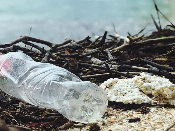 Botellas plásticas acumuladas en la orilla de una playa del Pacífico latinoamericano.