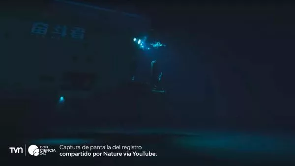 Sumergible Fendouzhe durante la expedición científica en las fosas oceánicas más profundas del Pacífico.