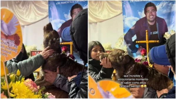 Perro en velorio de su dueño