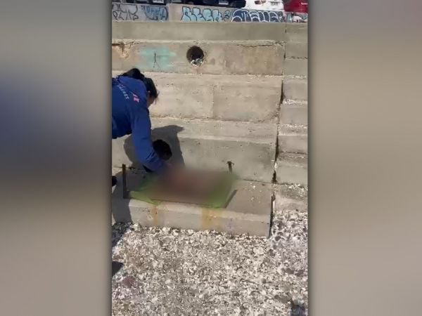 Investigan denuncia de maltrato animal en sector del balneario municipal