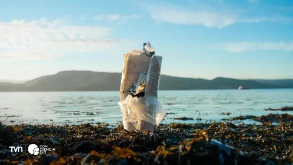 Plásticos y su contaminación en una playa.