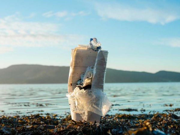 Plásticos y su contaminación en una playa.