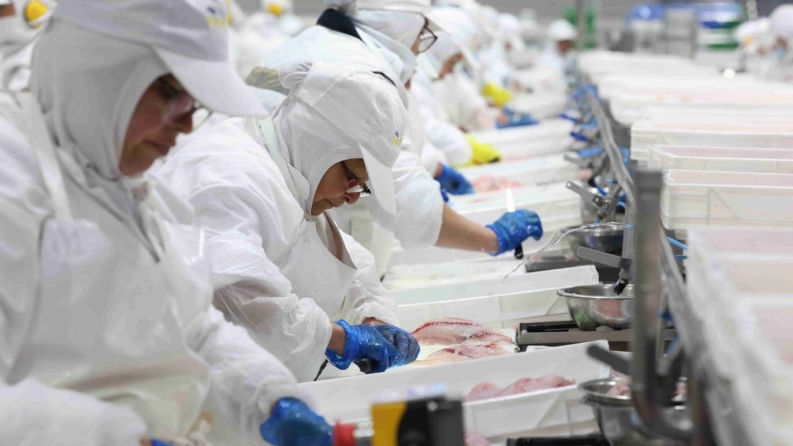 Personas trabajando