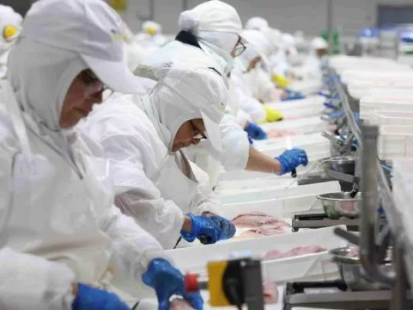 Personas trabajando