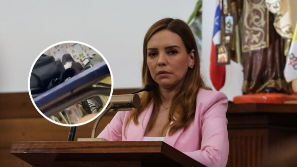 Camila Flores por profesor en Limache