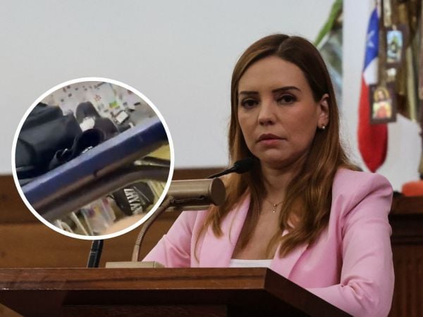 Camila Flores por profesor en Limache