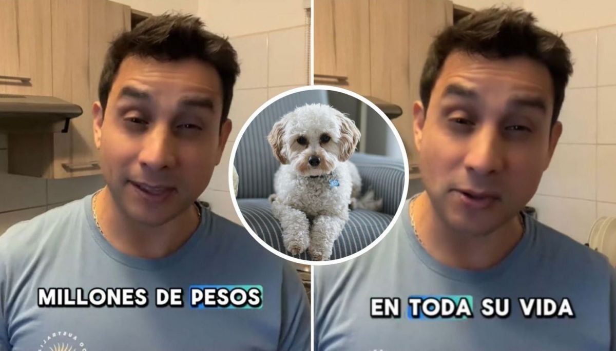 Experto en finanzas revela la millonaria suma que cuesta tener un perro en Chile