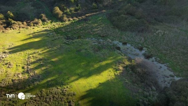 Humedal urbano Denavi Sur.