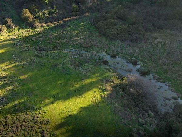 Humedal urbano Denavi Sur.