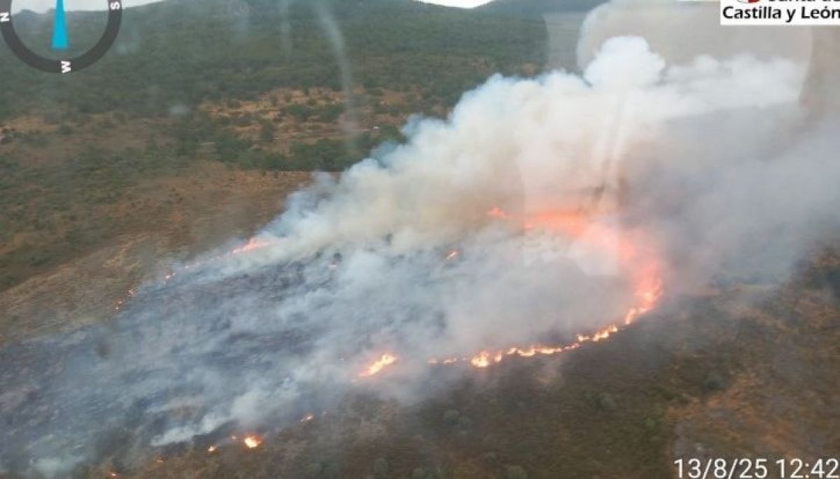 Incendios en Europa por ola de calor: muertos y evacuaciones | 24horas