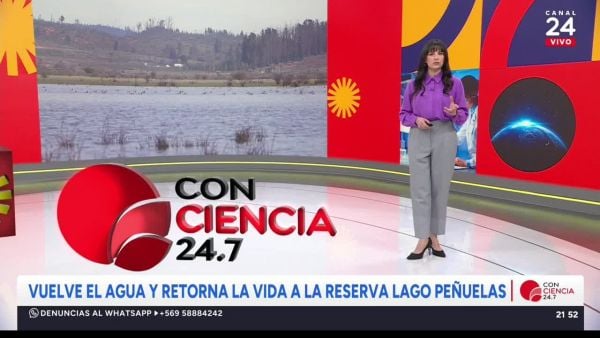 Conciencia 24.7 en 24 Horas: 14 de agosto 2025