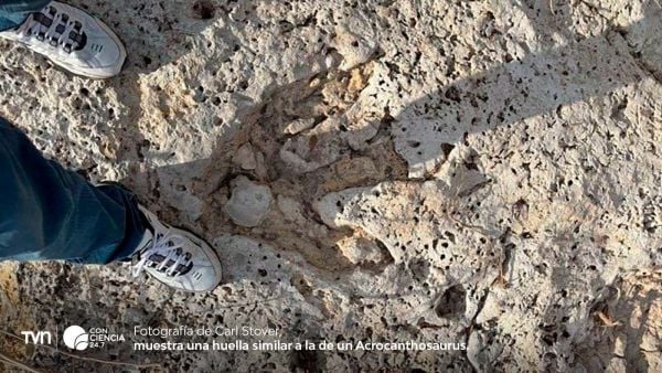Huellas de dinosaurio de tres garras reveladas en la roca caliza de Sandy Creek, Texas, tras inundaciones.