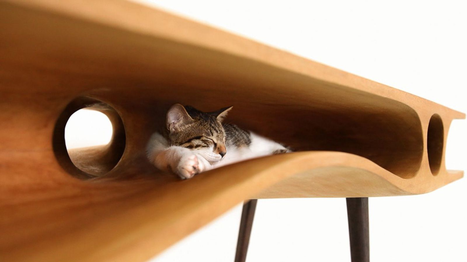 Mesa CATable