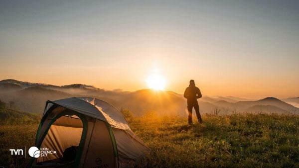 Persona caminando en un parque urbano, rodeada de árboles y naturaleza.