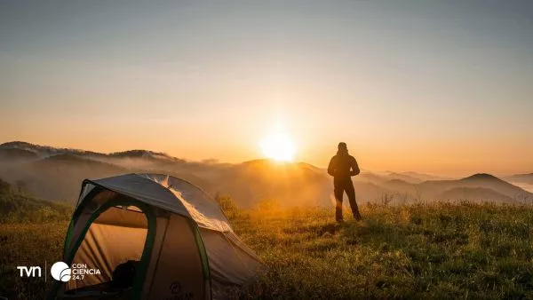Persona caminando en un parque urbano, rodeada de árboles y naturaleza.