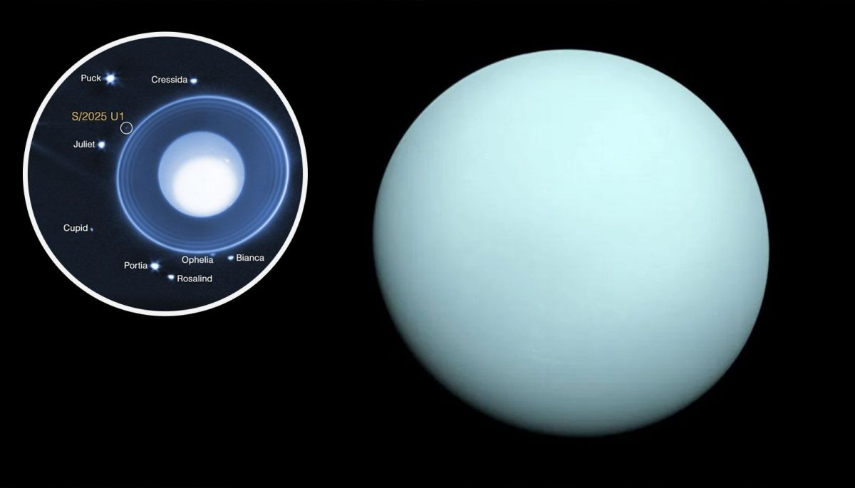Descubren nueva luna en Urano con el telescopio James Webb | 24horas