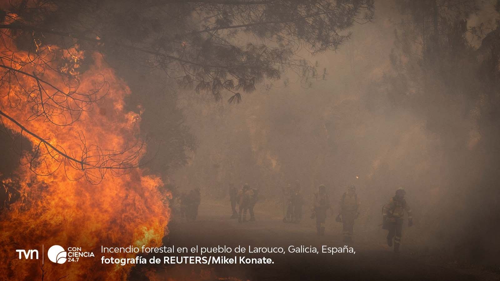Incendios forestales en Europa.