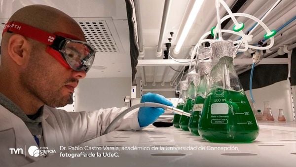 Investigador de la UdeC trabaja en sistema con microalgas y luz solar para descontaminar lagos urbanos.
