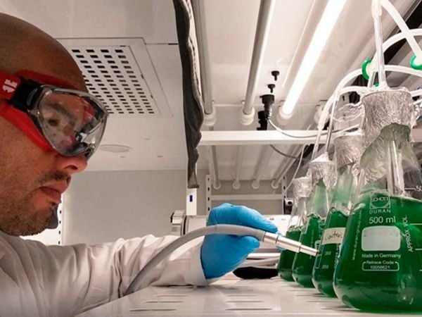 Investigador de la UdeC trabaja en sistema con microalgas y luz solar para descontaminar lagos urbanos.