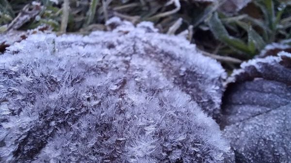 Frío extremo pronosticado para 7 regiones