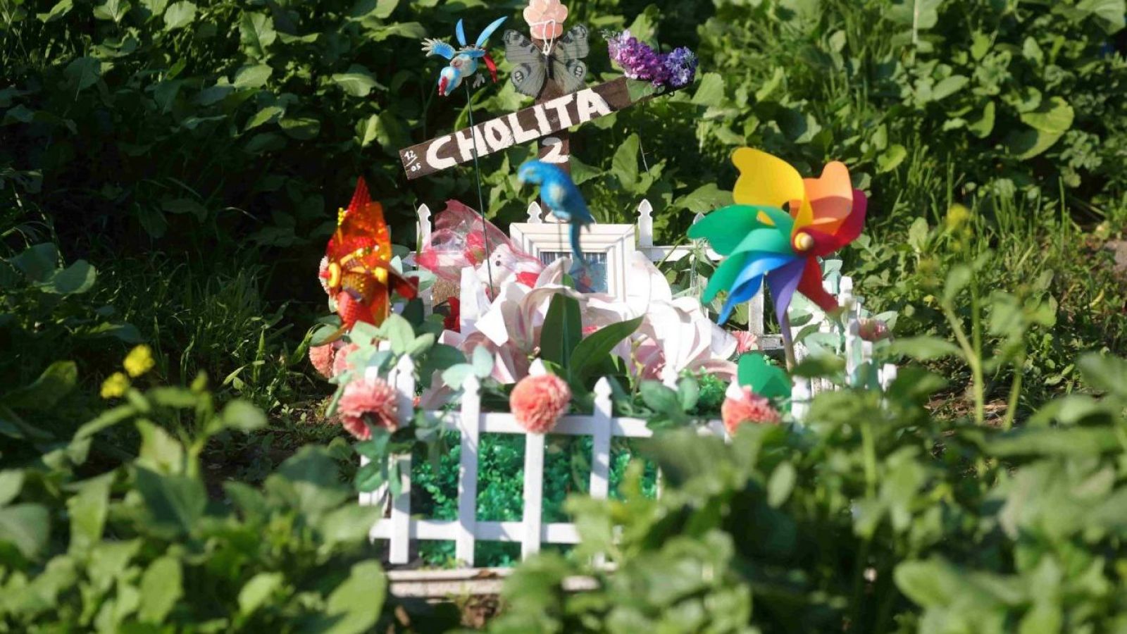 Cementerio de mascotas