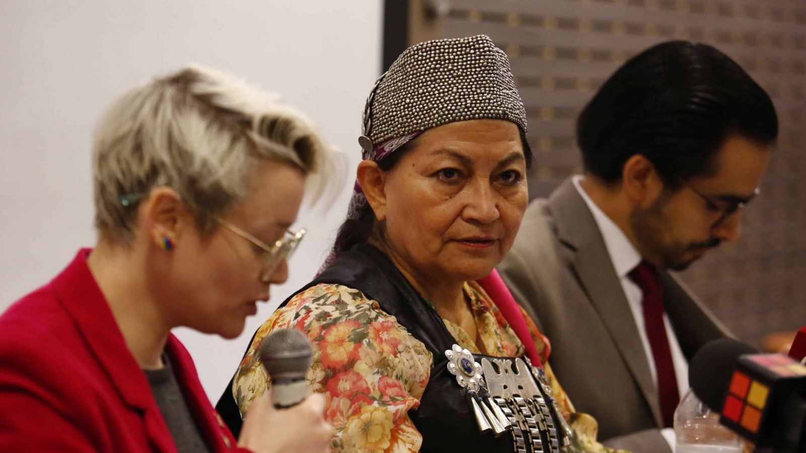 Elisa Loncon