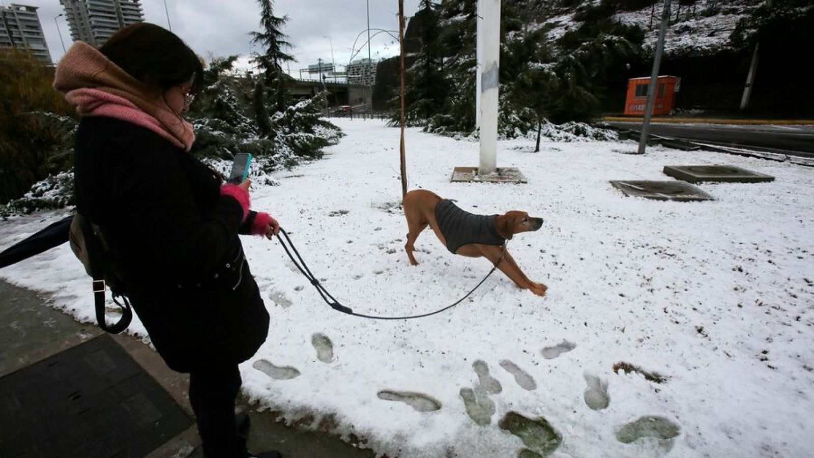 Nieve en Santiago