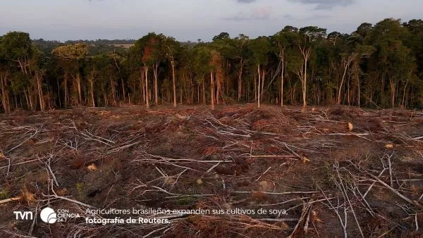 Expansión por agricultura de soya en la Amazonía.