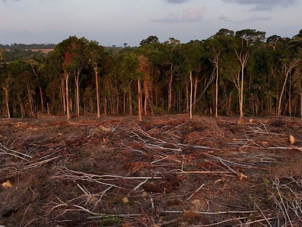 Expansión por agricultura de soya en la Amazonía.