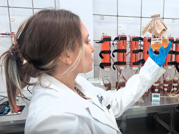 Muestras de microorganismos biomineros utilizados en el proyecto Cobalto Verde para recuperar metales desde relaves en Atacama.