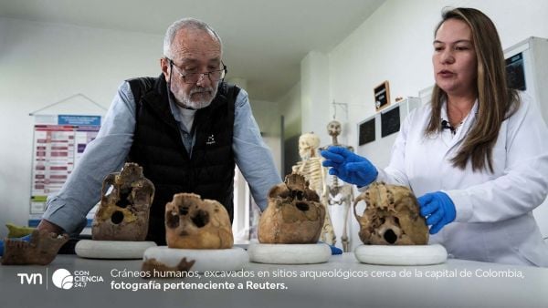 Cráneo del grupo Checua hallado en Nemocón, Colombia, analizado para secuenciación genética.