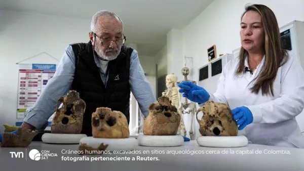 Cráneo del grupo Checua hallado en Nemocón, Colombia, analizado para secuenciación genética.