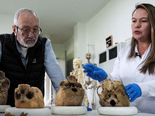 Cráneo del grupo Checua hallado en Nemocón, Colombia, analizado para secuenciación genética.