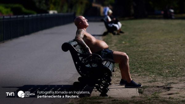 Personas refugiándose del calor bajo la sombra durante una ola de calor extremo.