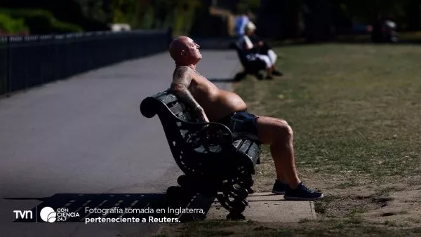 Personas refugiándose del calor bajo la sombra durante una ola de calor extremo.