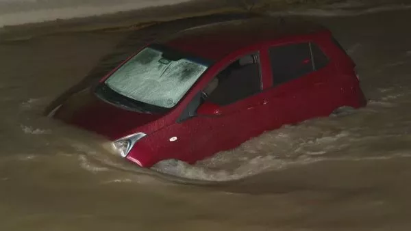 Auto en Canal San Carlos