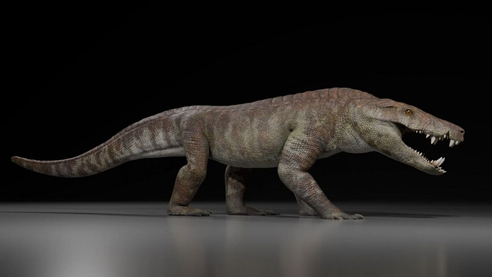 Kostensuchus atrox