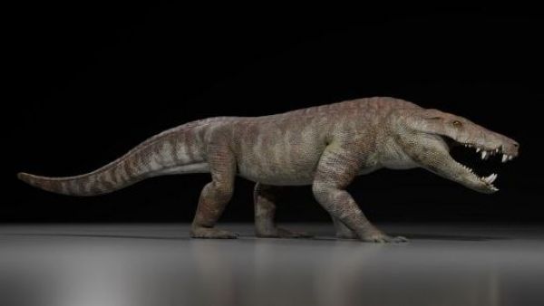 Kostensuchus atrox