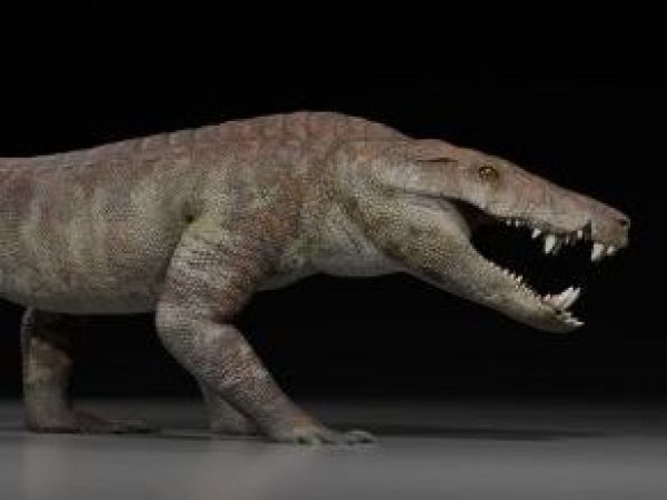 Kostensuchus atrox