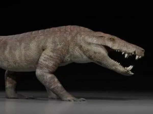Kostensuchus atrox