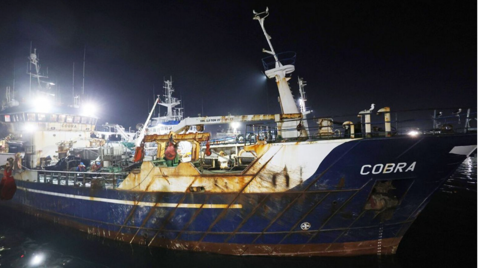 Barco Cobra