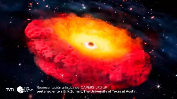 Telescopio James Webb detecta posible agujero negro primordial.