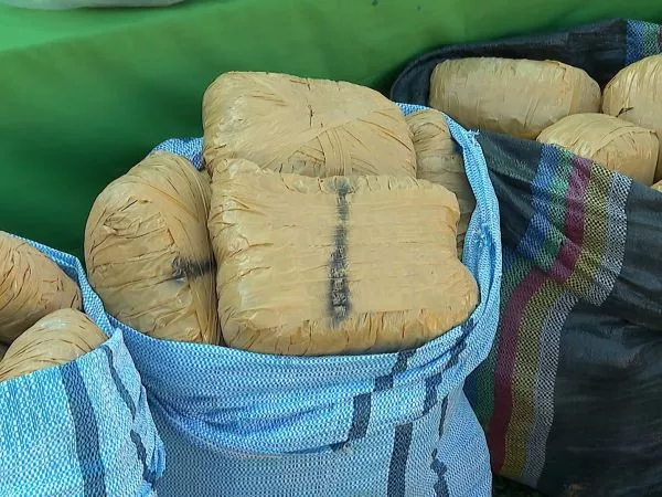 La región supera las 20 toneladas de droga incautadas este 2025 | 24horas