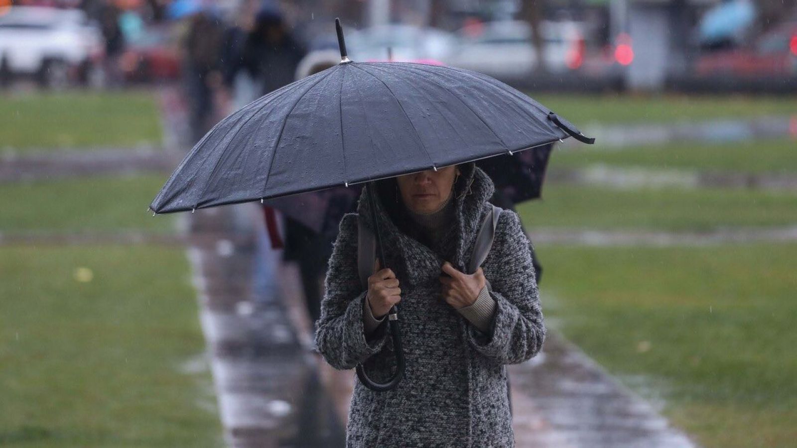 Lluvia y persona con paraguas