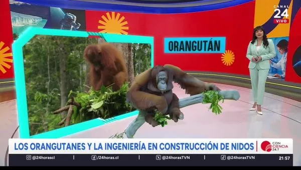 Conciencia 24.7 en 24 Horas: 4 de septiembre 2025