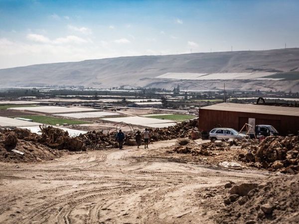 Programa Tierra Joven